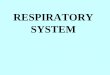 RESPIRATORY SYSTEM€¦ · RESPIRATORY SYSTEM is. PURPOSE = Gas exchange. Gas exchange in cells • Passive transport = diffusion ... homeostasis –Digestive system provides glucose