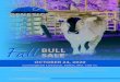 FallBULL SALE...FallBULL SALE OCTOBER 24, 2020 Cunningham Livestock. Salem, MO. 1:00 pm.92 Age-Advantaged, Fescue Adapted SimAngus & Simmental Bulls 40 Spring Calving Bred Heifers