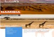 Terra di contrasti, di colori forti, di panorami infiniti, la...Terra di contrasti, di colori forti, di panorami infiniti, la Namibia offre moltissimo per tutti i nostri sensi. I bellissimi