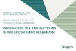 PHOSPHORUS USE AND RECYCLING IN ORGANIC FARMING …...PHOSPHORUS USE AND RECYCLING IN ORGANIC FARMING IN DENMARK Margrethe Askegaard, M.Sc. Agric., PhD mga@seges.dk, SEGES Organic