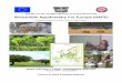 Silvoarable Agroforestry For Europe (SAFE) · Quality of Life and Management of Living Resources Silvoarable Agroforestry For Europe (SAFE) European Research contract QLK5-CT-2001-00560