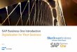 SAP Business One Introduction Your Business...Enterprise Search Find any information within your organization, just like searching on an internet search engine! Cash Flow Forecast