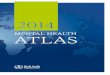 MENTAL HEALTH ATLAS - World Health Organization · WHO’s mental health Atlas 2014 provides up-to-date information on the state of mental health services and systems in countries
