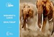 BIODIVERSITY & CLIMATE SOCIAL TOOLKIT€¦ · AFRICAN FOREST ELEPHANT Unlikely climate hero 3# African forest elephant. African forest elephants disperse large seeds, keep the forest