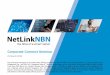 Corporate Connect Seminar - NetLink NBN...Mar 21, 2019  · 3 Key Highlights Financial Snapshot • YTD EBITDA & PAT have exceeded projections by 3.8% and 20.1% respectively • Residential