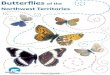 Northwest Territories · A BUTTERFLY’S LIFE A butterfly usually lives 10 to 14 days as an adult, and spends the rest of its one- to two-year life as an egg, caterpillar (larva),