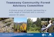 Teanaway Community Forest Advisory Committee...2014/03/31  · Desire to Ensure the Future of Teanaway “Restoration of an exceptionally valuable asset of Washington State. Issues