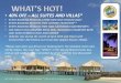 40% OFF – ALL SUITES AND VILLAS*samoaholidays.net/docs/samoahoidays website promo april 15.pdf•40% off – all suites and villas* • every booking receives a free mini bar stocked