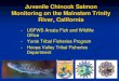 25 Years of Juvenile Chinook Salmon Monitoring on the ...€¦ · 8/27/2015 35 31.7 1 0 0 0 0 0 0 0 0 0 0 0 0 Totals 147 9,380 2,906 ... 16-Apr 30-Apr 14-May 28-May 11-Jun 25-Jun