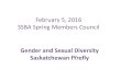 February 5, 2016 SSBA Spring Members Council · Educators need to find ways to teach inclusively about the hidden and marginalized experiences as well as the dominant and mainstream