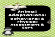 Animal Adaptations · 2019. 11. 19. · Animal Adaptations : Physical vs. Behavioral Name _____Key _____ Date _____ 1. What is a physical adaptation? Answers may vary a bit, but student