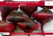 PLANT DIAGNOSTIC CLINIC 2013 - University of Vermont · 2018. 2. 21. · Following report contains a summary of the samples submitted to the Plant Diagnostic Clinic from 01-Jan-2013