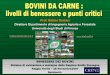 Prof. Matteo Barbari Direttore Dipartimento di Ingegneria Agraria e …crpalab.crpa.it/media/documents/crpa_www/Convegni/... · 2014. 12. 12. · Vitelli I Vitelli II S. fissa Box