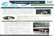 Trasporto di vitelli - ANIMAL TRANSPORT GUIDESanimaltransportguides.eu/.../uploads/2017/03/Trasporto-di-vitelli.pdf · Trasporto di vitelli Per la guidacompletae ulterioriinformazioni:
