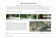 Informe de proyecto ejecutado - Naturalea...Proyecto de creación de un paseo fluvial en el río Llobregat en los entornos de Món Sant Benet 3 de 13 1. Mejora del camino 1.1 Movimientos