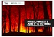 FIRES, FORESTS AND THE FUTURE · 4 1. THE ISSUE Wildfires affect all biomes, from forests and savannahs to grasslands and tundra. Based on records from 2000-2015, 85% of the surface