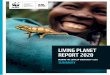 LIVING PLANET REPORT 2020 - WWFジャパン · 2020. 9. 8. · future in which humans live in harmony with nature, by conserving the ... through two zoos, ZSL London Zoo and ZSL Whipsnade
