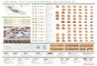 GUIDE TO CALIFORNIA ALMONDS...NUT Medium, narrow shape, slightly wrinkled surface BUTTE CLASSIFICATION California type, Mission type SHELL Semi-hard shell, light color, smooth surface,