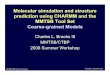 Molecular simulation and structure prediction using CHARMM ...€¦ · Molecular simulation and structure prediction using CHARMM and the MMTSB Tool Set Coarse-grained Models Charles