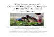 The Importance of Outdoor Play and Its Impact on Brain … · 2017. 11. 1. · The Importance of Outdoor Play and Its Impact on Brain Development In Children UMKC School of Education’s