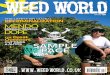 FEATURˇˇ TE˘R - Weed World Magazine€¦ · 88 A-Z of Cannabis 90 New USA Strains from Sweet Seeds 94 The Indoor Hydroponic Grow room 98 Cloning: A Step-By-Step Guide 102 Cannabis: