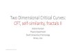 Two Dimensional Critical Curves: CFT, self-similarity ...indico.ictp.it/event/8644/session/47/contribution/... · Conformal Field Theory (CFT) Conformal Field Theory is a quantum