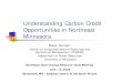 Understanding Carbon Credit Opportunities in Northeast ......Understanding Carbon Credit Opportunities in Northeast Minnesota Dean Current Center for Integrated Natural Resources and
