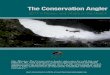 TheConservationAngler · The Conservation Angler: Year In Review TCA Overview River Historic Present Decline Columbia/Snake 2,000,000+ 30,000 (1,000 B-run) -98% Stillaguamish 100,000