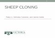 SHEEP CLONING - GitHub Pages · Paley Li, Nicholas Cameron, and James Noble 1 . Object cloning •How do you do object cloning? 2 . Shallow cloning •Copies an object and alias the