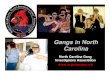 Gangs in North Carolina...Definition of a gang: North Carolina 14-50.16: As used in this Article, 'criminal street gang' or 'street gang' means any ongoing organization, association,