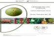 LEPROSIS DE LOS CÍTRICOS - gob.mx...La leprosis de los cítricos “ Citrus leprosis virus ” se encuentra asociada con dos grupos de virus no relacionados, que producen partículas