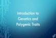 Introduction to Genetics and Polygenic Traits ... Introduction to Genetics and Polygenic Traits. EVERYBODY