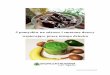 5 pomysłów na zdrowe i smaczne desery wspierające pracę ... · 2 spore łyżki surowego kakao np. Decomorreno 2 łyżki miodu (w zupełności wystarczy, może być nawet mniej)