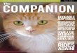 CREATING A HUMANE WORLD FOR ANIMALS AND … · 2016. 9. 29. · On the cover is Pumpkin, who found his forever family this October. Creating a Humane World for Animals and People