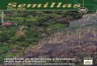 Semillas€¦ · Semillas 71/72 ISSN 0122-0985 Colombia 71/72 Conservación y uso sostenible de la biodiversidad Derechos colectivos sobre los territorios y soberanía alimentaria