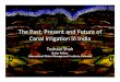 The Past, and Future of Canal Irrigation in India · Microsoft PowerPoint - Ppt0000002.ppt [Read-Only] Author: preghu Created Date: 4/13/2010 5:13:58 PM 
