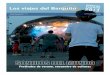Festivales de verano, encuentro de culturaselsargonautes.eu/wp-content/uploads/2019/03/sonidos.pdf · Festivales de verano, encuentro de culturas. en otoño, cuando el sol del ve-rano