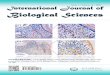 Issue 1 Volume 16 International Journal of Biological Sciences · 2020. 1. 13. · Ivyspring International Publisher COVER FEATURE: Yuxin Zhang, Mengru Fang, Zhiwen Yang, Wenhao Qin,