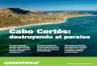 Cabo Cortés - Greenpeace Españaarchivo-es.greenpeace.org/espana/Global/espana/report/other/10081… · del «ladrillazo» en España pretenden ahora exportar su modelo y esquilmar