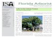 Florida Arborist1015 Michigan Ave. Palm Harbor, FL 34683 Phone: 727-786-8128 Fax: 727-789-1697 Cell: 727-403-5980 Directors Ron Litts, Commercial Arborist Chris Marshall, At …