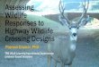 Assessing Wildlife Responses to Highway Wildlife Crossing ... · Wildlife crossing structures should be designed with high openness ratios. High openness ratios are easier to achieve
