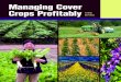 Managing Cover Crops Profitably Third EdiTion€¦ · Craig Cramer, Cornell Univ. Nancy Creamer, North Carolina State Univ. William S. Curran, The Pennsylvania State Univ. Seth Dabney,