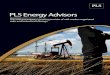 PLS | Petroleum Listing Service | Oil & Gas Assets for Sale ... Brochure_14pg.pdfPLS has over three decades of experience marketing oil and gas properties. $68,000,000 (Bankruptcy)