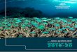 Great Barrier Reef Marine Park Authority, Corporate Plan ...elibrary.gbrmpa.gov.au/jspui/bitstream/11017/3492/8/GBRMPA-Corp… · Authority’s Corporate Plan 2019-20, which covers