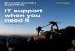 NexTec Support Plans – Microsoft and Acumatica · Microsoft Dynamics GP Microsoft Dynamics SL Acumatica Cloud ERP Experienced technicians You’ll get support from a team well-versed