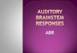 Auditory Brainstem Responses - KSUfac.ksu.edu.sa/sites/default/files/auditory... · It is a test for the auditory pathway from the cochlea up to the brainstem level, it does not go