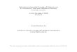 Intergovernmental Group of Experts on E-commerce and the ... · UNCTAD IGE on E-commerce and the Digital Economy February 2020 Richard Hill1, APIG Summary The implications for national