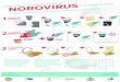 norovirus-poster-prevent-v12-highres · 1 GALLON WATER *If using regular strength bleach (5.25%), increase the amount of bleach to 1 cup. 5 MIN 3/4 CUP CHLORINE BLEACH* 3 / 4 20 SEC