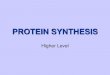 Protein Synthesis - Rocoscience · 2013. 1. 2. · Outline the steps in protein synthesis 2.Understand that a strand of DNA is copied by transcription 3.Understand the role of mRNA
