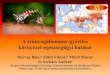A szúnyogállomány gyérítés környezet egészségügyi hatá ZIKV Majom Zika-láz YFV Sárgaláz JEV csálók Japán enkefalitisz EEEV Keleti ló-enkefalitisz WEE Nyugati ló-enkefalitisz